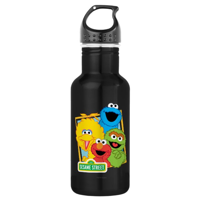 Sesame Street Pals 532 Ml Water Bottle (Front)