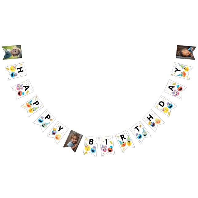 Sesame Street Pals Confetti Birthday Bunting Flags (All)