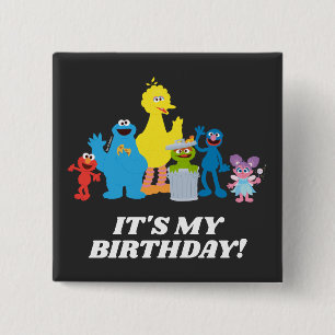Sesame Street Pals   It's My Birthday 2 Inch Square Button