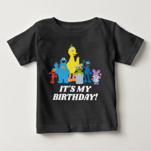 Sesame Street Pals   It's My Birthday Baby T-Shirt
