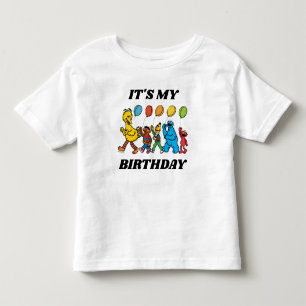 Sesame Street Pals It's My Birthday Toddler T-shirt