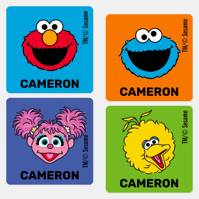 Sesame Street Personalized Kids (Group)