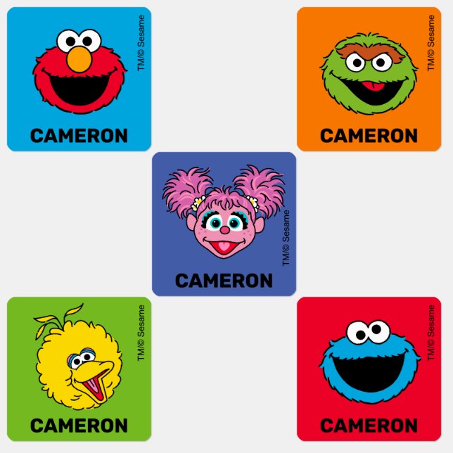 Sesame Street Personalized Kids Labels (Group)