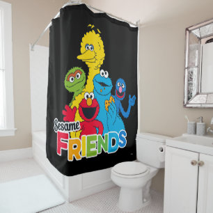Sesame Street   Sesame Friends