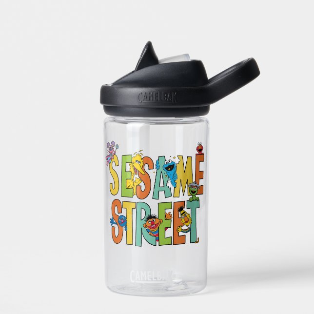 Sesame Street | Sesame Street Type Pals Water Bottle (Left)