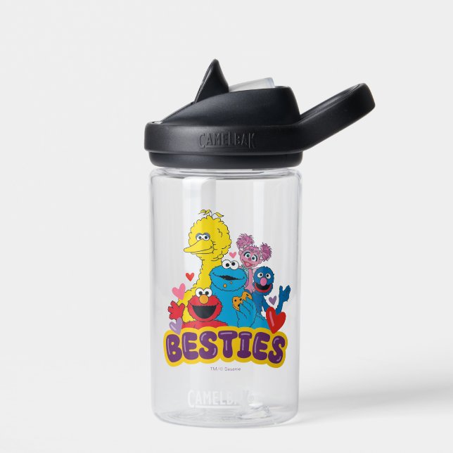 Sesame Street Valentine Besties Water Bottle
