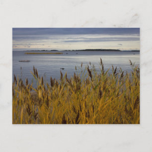 Sescape from Ostrobothnia CC0076 Postcard