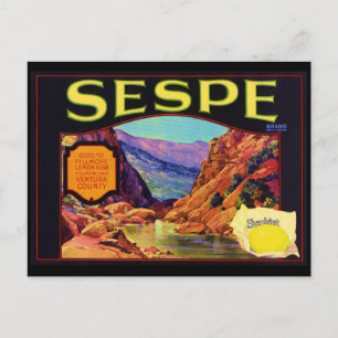 Sespe Lemons Postcard