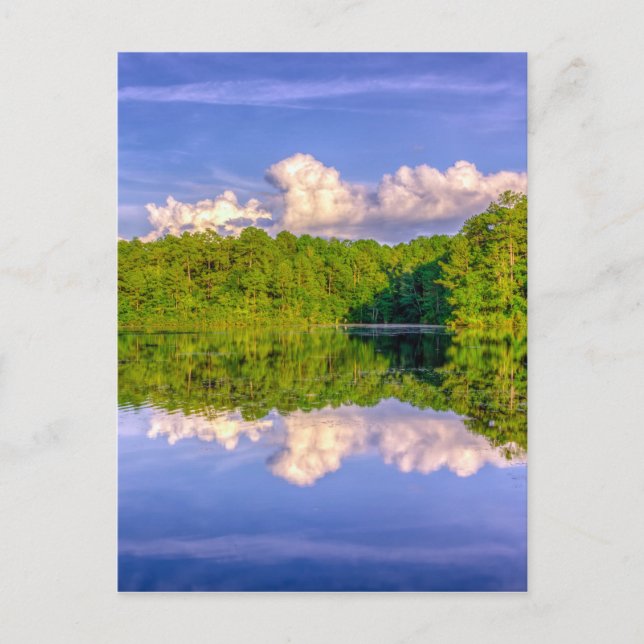 Sesqui Lake Postcard (Front)