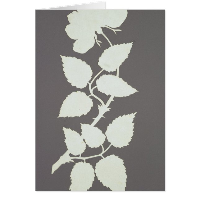 S'est levé (Devant)