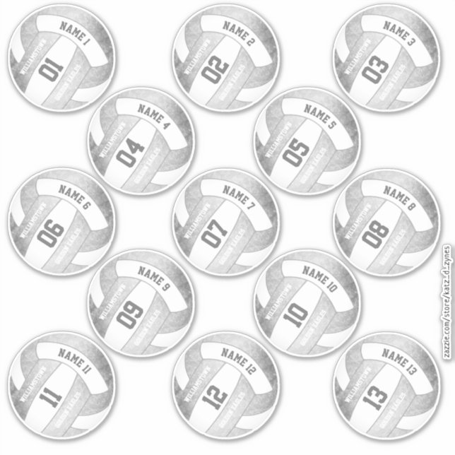 set 13 girly silver grey volleyball players names (Front)