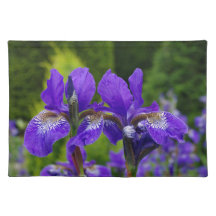 Photographie florale d'Iris
