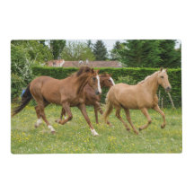 Chaises de chevaux de tapis d'endroit de Tableau