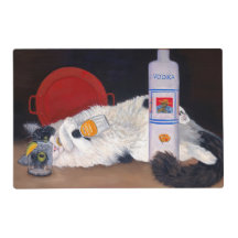 Chat long Haired Tuxedo