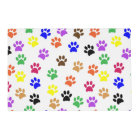 Empreintes de pattes colorés