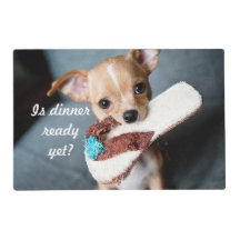 Pooch affamé