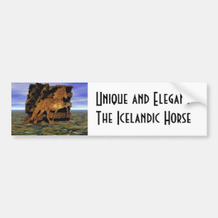 Set in Stone Bumper Sticker