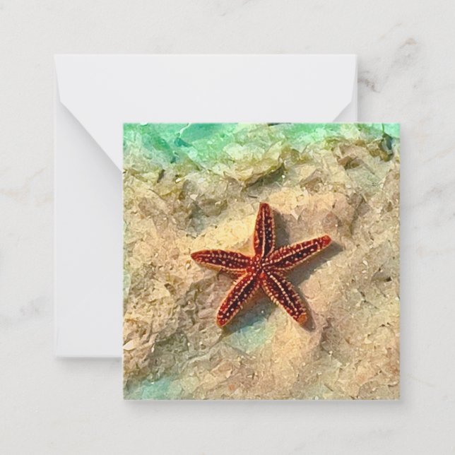 Set mini carte pour notes Starfish (Devant)