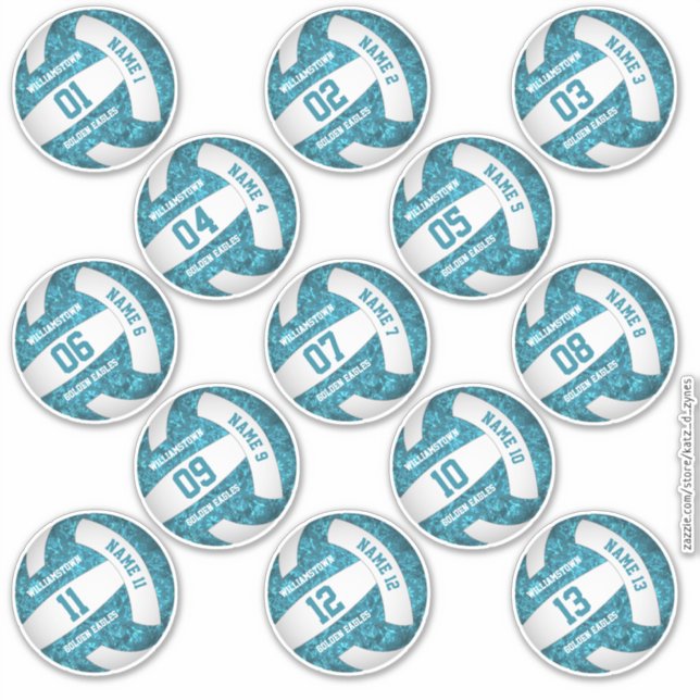 set of 13 girly teal white volleyball player names (Front)