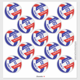 Set of 13 red white blue team colours volleyball