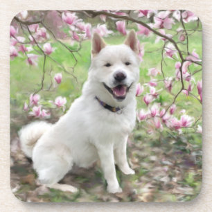 Set of 6 Cork Back Coasters White Akita
