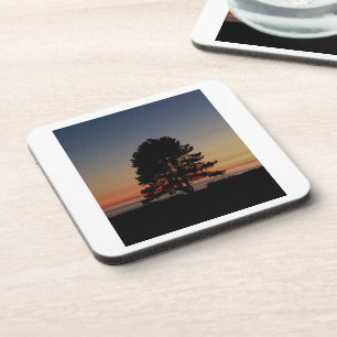 Set of 6 durable cork backed coasters with tree