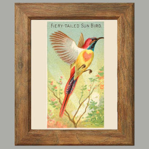 Set of 6 Gallery Wall, 2 of 6 Audubon Poster