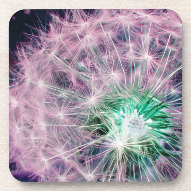 Set of 6 Wishes seed head coasters, modern and fun Coaster (Front)
