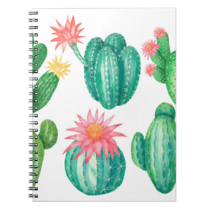 Set of cacti with flowers. Isolated elements on a Notebook