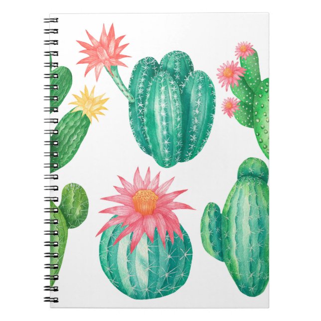Set of cacti with flowers. Isolated elements on a  Notebook (Front)