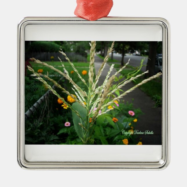 Set of Christmas Flora Metal Ornament (Front)