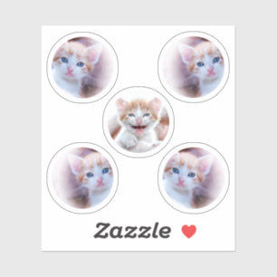 Set of Five Circle Shape Photos