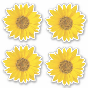 Set of Four Yellow Sunflowers Contour