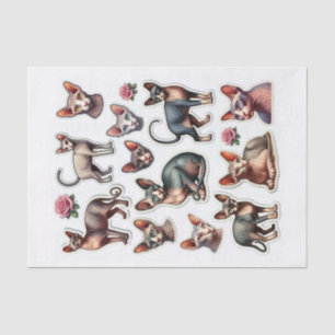 Set of Hairless Sphynx Cats Tissue Paper