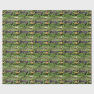 Setagaya Park Vienna Austria Wrapping Paper