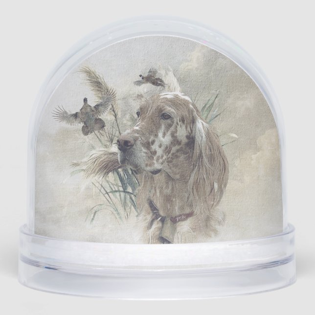 Setter anglais (Avant)