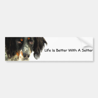 Setter Bumper Sticker