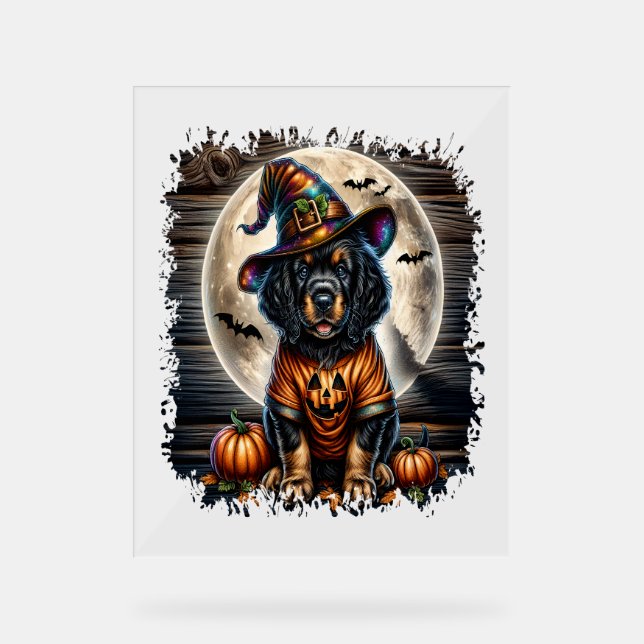 Setter Dog Halloween Square Acrylic Sign (Front)