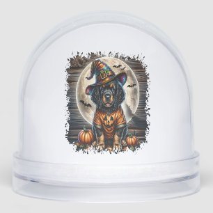 Setter Dog Halloween Square Snowglobe