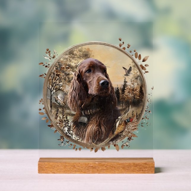 Setter irlandais (Neutre)