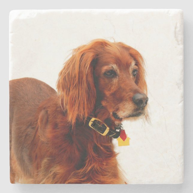 Setter Love Stone Coaster (Front)