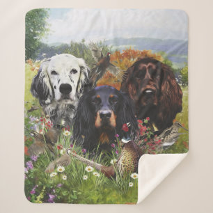 Setters Family  Sherpa Blanket