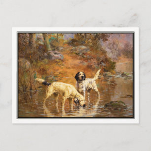 Setters in a Cooling Stream by Percival Rosseau Postcard