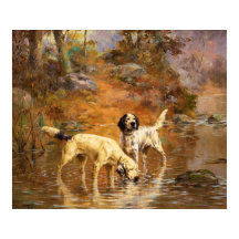 Setters in a Cooling Stream by Percival Rosseau
