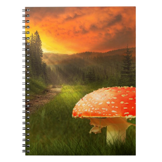 Setting Autumn Sun. Notebook (Front)