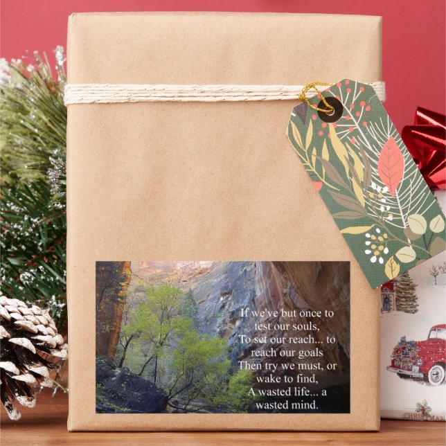 Setting Goals Inspirational Sticker (Holiday)