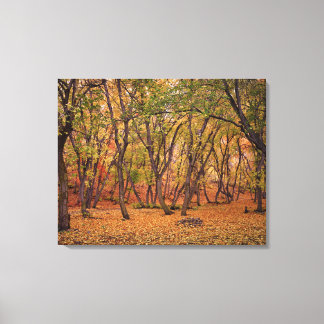 Settlement Canyon Canvas Print