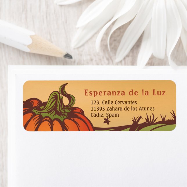 Seul citrouille sur le terrain. Les feuilles d'aut (En situation)