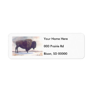 Seule peinture de bison de supports