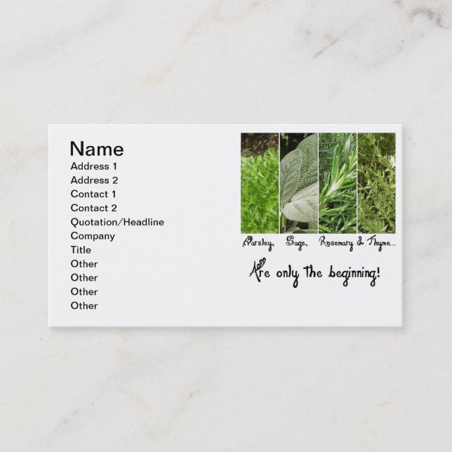 Seulement le carte de visite de début (Devant)